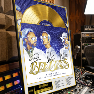 Cuadro Bee Gees – LP