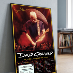 Cuadro David Gilmour