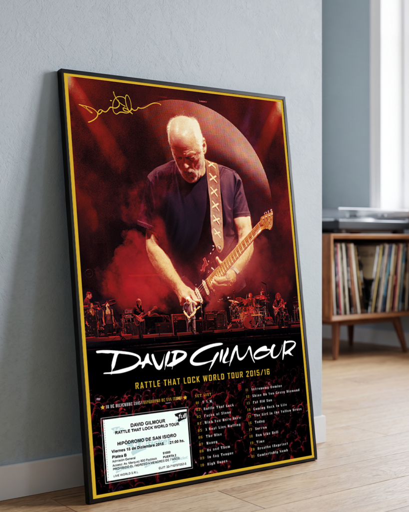 Cuadro David Gilmour